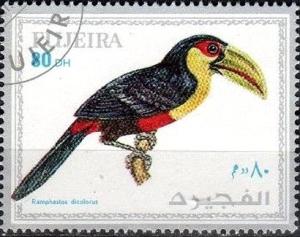 Colnect-3775-612-Ramphostos-dicolorus.jpg