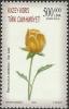 Colnect-4016-660-Ranunculus-Asiaticus.jpg