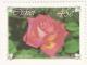 Colnect-2797-757-Roses-Herman-Steyn.jpg