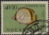 STAMSP556.JPG