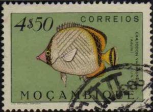 STAMSP556.JPG