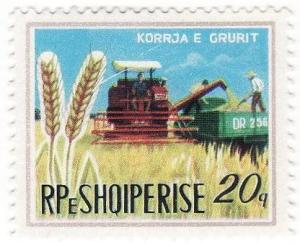 Rpeshqiperise.jpg
