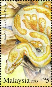 Colnect-2568-028-Ball-Phyton-Python-regius.jpg