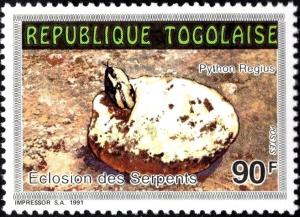 Colnect-6288-548-Ball-Python-Python-regius.jpg
