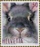 Colnect-5552-649-Rabbit-portrait.jpg