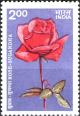 Colnect-2057-101-Roses--Sugandha.jpg