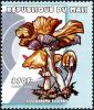 Colnect-2606-962-Cystoderma-elegans.jpg