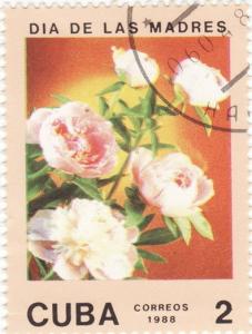 Colnect-1016-000-Roses.jpg