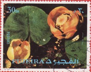 Colnect-1290-059-Flower.jpg