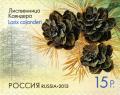 RU026.13.jpg