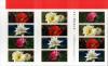 Colnect-2961-435-Roses.jpg
