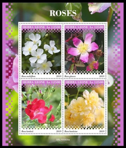 Colnect-6199-516-Roses.jpg