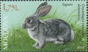 Colnect-5931-871-Rabbit.jpg
