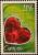 Colnect-3106-927-Roses.jpg